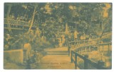 5817 - OCNA-SIBIULUI, Sibiu, Sursa de izvoare, Romania - old postcard - used - 1909