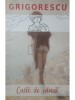 Grigorescu - Carte de colorat