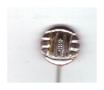 Insigna Minge de fotbal foto