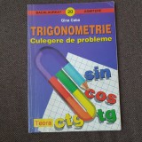 Gina Caba - Trigonometrie. Culegere de probleme