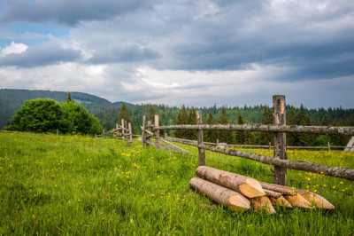 Fototapet de perete autoadeziv si lavabil Natura156 Pajiste si padure, 200 x 150 cm foto