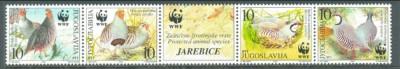 IUGOSLAVIA 2000 WWF FAUNA PROTEJATA PASARI POTARNICHE foto