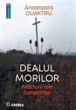 Dealul Morilor - Anastasia Dumitru (2023) - Editura Junimea - Carte Literatura Romana - Coperta Brosata
