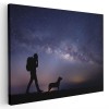 Tablou peisaj nocturn tanar drumet cu cainele sau Tablou canvas pe panza CU RAMA 40x60 cm