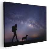 Tablou peisaj nocturn tanar drumet cu cainele sau Tablou canvas pe panza CU RAMA 30x40 cm