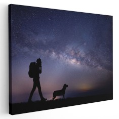Tablou peisaj nocturn tanar drumet cu cainele sau Tablou canvas pe panza CU RAMA 20x30 cm