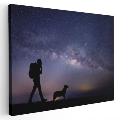 Tablou peisaj nocturn tanar drumet cu cainele sau Tablou canvas pe panza CU RAMA 20x30 cm foto
