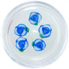Decorațiuni unghii - flori acrilice, albastre și albe