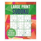 LARGE PRINT SUDOKU