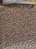 Alune Tigrate, 8mm, 5kg
