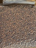 Alune Tigrate, 8-10mm, 5kg