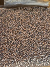 Alune Tigrate, 8mm, 5kg