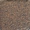 Alune Tigrate, 8mm, 5kg