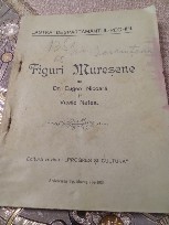 G. Figuri Muresene Tragu Mures 1933 Reghin &amp;quot;Astra&amp;quot; foto