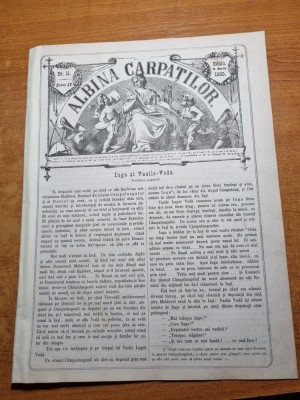 albina carpatilor 15 martie 1880-poezie teodor bota,articol despre sare foto