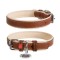 Waudog Soft, Zgarda, M, caini din piele, cu QRPasaport, latime: 20mm, lungime: 30-39cm, maro