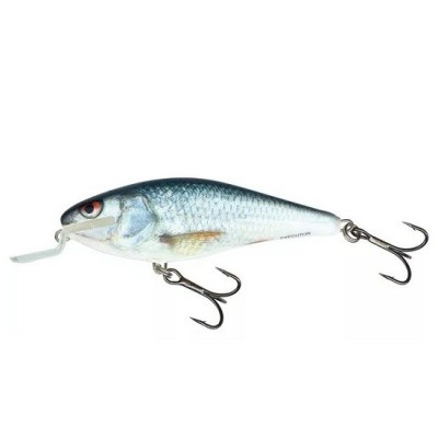 VOBLER SALMO EXECUTOR SHALLOW RUNNER, REAL DACE, 7CM, 8G foto