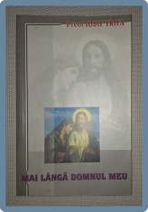 IOSIF TRIFA - MAI LANGA DOMNUL MEU