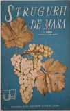 Strugurii de masa - V. Dvornic