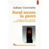 Adrian Cioroianu - Focul ascuns in piatra - despre istorie, memorie si alte vanitati contemporane - 101449, Polirom