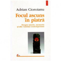 Adrian Cioroianu - Focul ascuns in piatra - despre istorie, memorie si alte vanitati contemporane - 101449