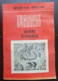 Tumorile ovarului. Orientări &icirc;n diagnostic - Moraru Ioan, Fadei Lidia, 1988, Brosata, Carti oncologie, ACADEMIEI ROMANE