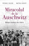 Cumpara ieftin Miracolul De La Auschwitz. Baietii Evadati Din Infern, Michael Calvin, Naftali Schiff - Editura Corint