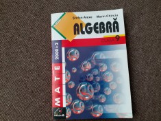 Algebra clasa a IX-a - Stefan Alexe, Marin Chirciu 2002