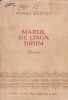 Marul de linga drum - versuri
