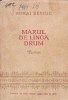 Marul de linga drum - versuri