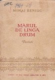 Marul de linga drum - versuri