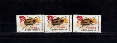 M1 TX9 6 - 2000 - Insecte II 1996 - supratipar &amp;quot;floare de mustar&amp;quot; foto