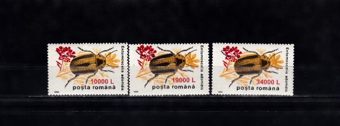 M1 TX9 6 - 2000 - Insecte II 1996 - supratipar &quot;floare de mustar&quot;