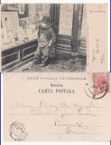 Tipuri din Romania- Haimana- clasica, Bucuresti