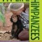 My Life with the Chimpanzees