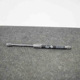 Amortizor Haion Dreapta Tesla Model 3 2018 OEM 1091560-00-B Garantie 12 Luni