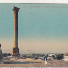 bnk cp Egipt - Alexandria - Coloana lui Pompei si sfincsii - necirculata