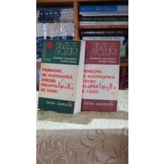 Probleme de matematica pentru treapta I si a II-a de liceu (2 volume) - Gheorghe Calugarita