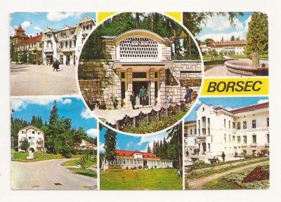 CA12 -Carte Postala- Borsec, Circulata foto
