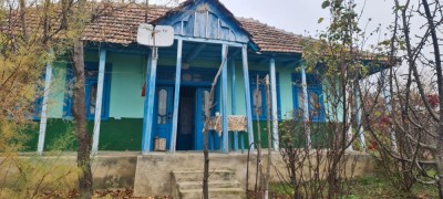 Case de vanzare foto