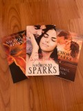 Nicholas Sparks Ultimul c&acirc;ntec&rdquo;, &bdquo;Dragoste la prima vedere&rdquo; și &bdquo;Accidentul&rdquo; (