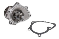 Pompa apa TOYOTA RAV 4 II (CLA2, XA2, ZCA2, ACA2) (2000 - 2005) THERMOTEC D12004TT