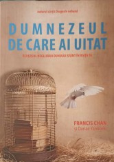 DUMNEZEUL DE CARE AI UITAT-FRANCIS CHAN-252956