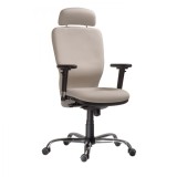 SCAUN ERGONOMIC 2410 SAPPHIRE STOFA FIESTA - Brate 434 CR