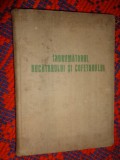 Indrumatorul bucatarului si cofetarului ( carte de bucate / sosuri , preparate reci , sandvisuri , preparate calde , preparate din vanat , dulciuri )