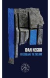 Eu ziceam, tu ziceam - Ioan Negru