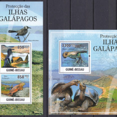 DB1 Fauna Marina Galapagos Darwin Guineea Bissau MS + SS MNH