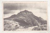bnk cp Masivul Cehlau - Varful Toaca - circulata 1958