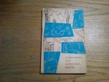 DIE MARCHEN WIESE - Mioara Cremene - MIHU VULCANESCU (ilustratii) - 1966, 95 p., Alta editura