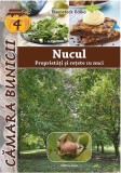 Nucul. Proprietati si retete cu nuci | Eisenstock Ildiko